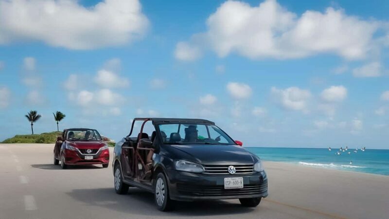 Shore Excursion: Cozumel Island Buggy Tour & Beach Visit - Practical Tips for Making the Most of the Tour