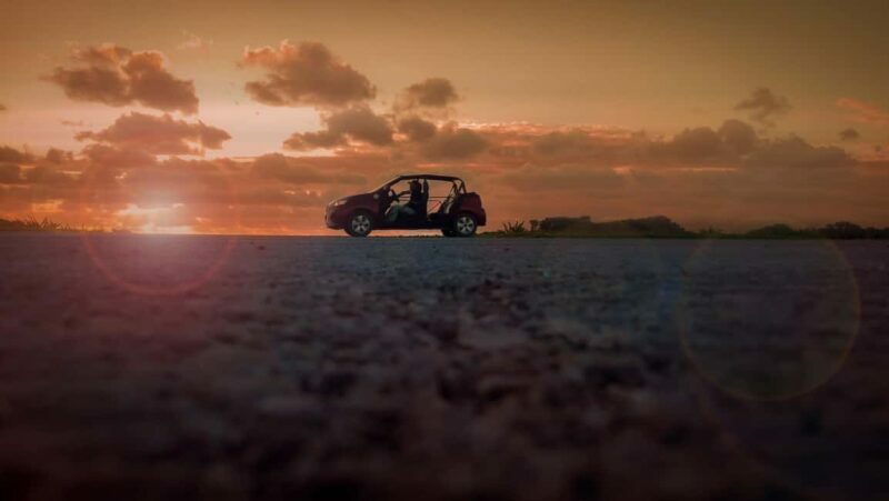 Shore Excursion: Cozumel Island Buggy Tour & Beach Visit - Authentic Experiences and Traveler Feedback