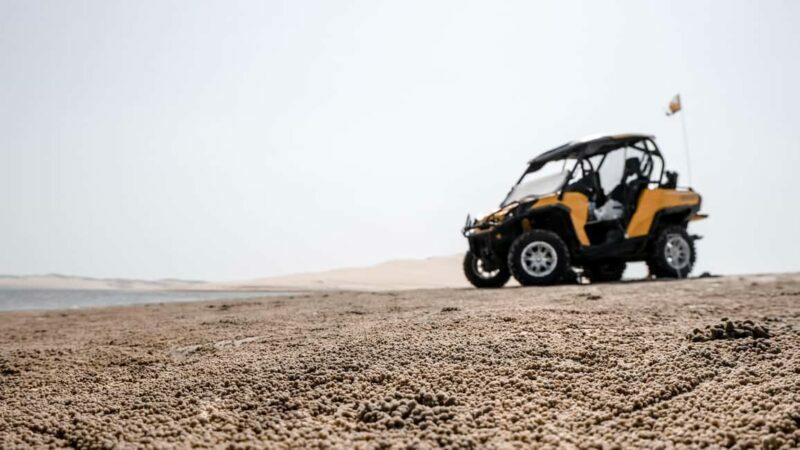 Shore Excursion: Cozumel Island Buggy Tour & Beach Visit - The Sum Up: Who Should Consider This Tour?