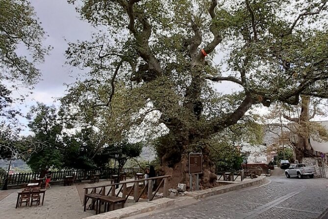Shore Excursion Crete, Cave of Zeus, Palace of Knossos & Villages - Private Transportation and Pickup