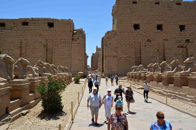 Shore Excursion: Day Tour From Safaga Port to Luxor - Customer Feedback