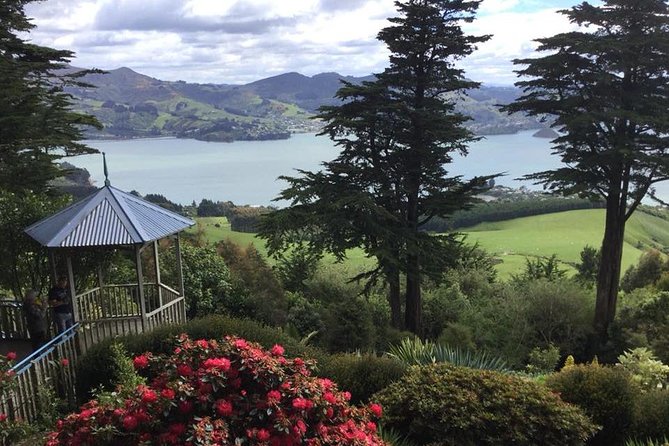Shore Excursion: Dunedin City, Otago Peninsula, Castle Gardens & Olveston Tour - Tour Details and Inclusions