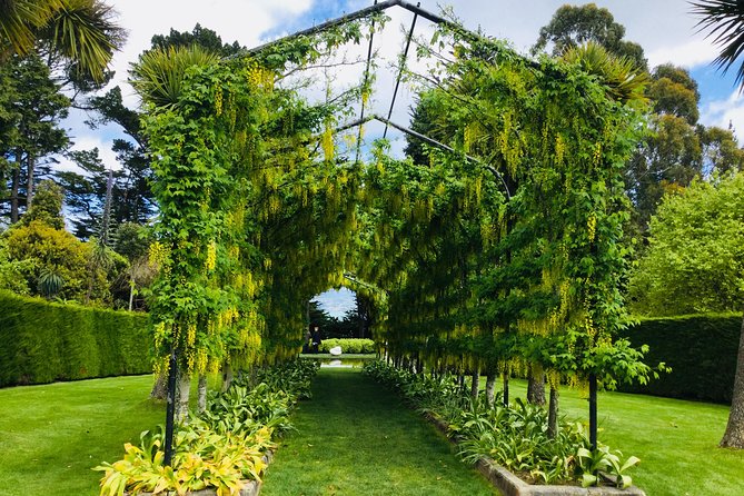 Shore Excursion: Dunedin City, Otago Peninsula, Castle Gardens & Olveston Tour - Scenic Drive Through Otago Peninsula