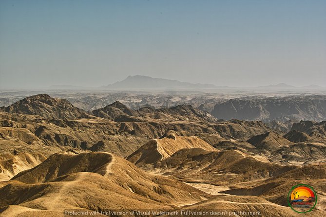 Shore Excursion - Flamingos ,Dune7,Welwitschia, Moonlandscape,Oasis,Swakopmund. - Pricing and Availability