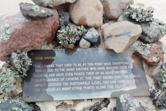 Shore Excursion - Flamingos ,Dune7,Welwitschia, Moonlandscape,Oasis,Swakopmund. - Health and Safety