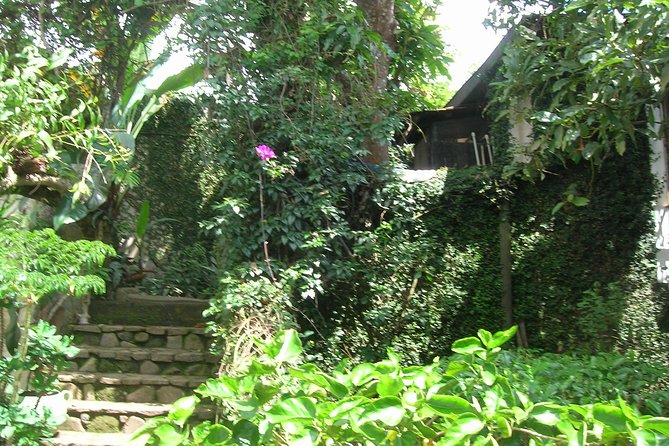Shore Excursion From Acajutla Coffee and Flowers Route - Highlights of the Tour