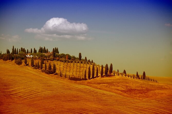 Shore Excursion From Florence to San Gimignano and Siena - Experience Highlights