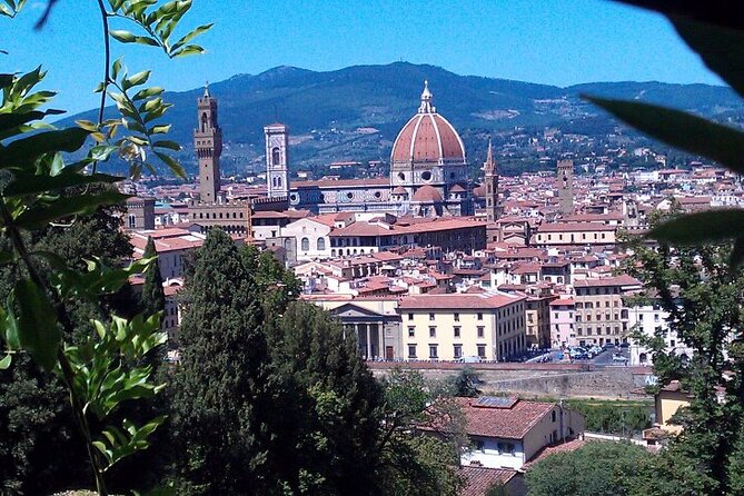 Shore Excursion From Livorno: Private Florence Tour With Michelangelos David - Accessibility and Special Requests