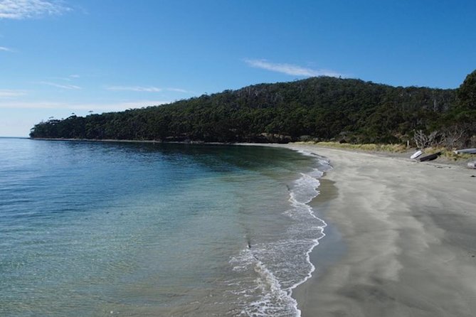 SHORE EXCURSION - Full-Day Guided Bruny Island Tour From Hobart - Wildlife Spotting Opportunities