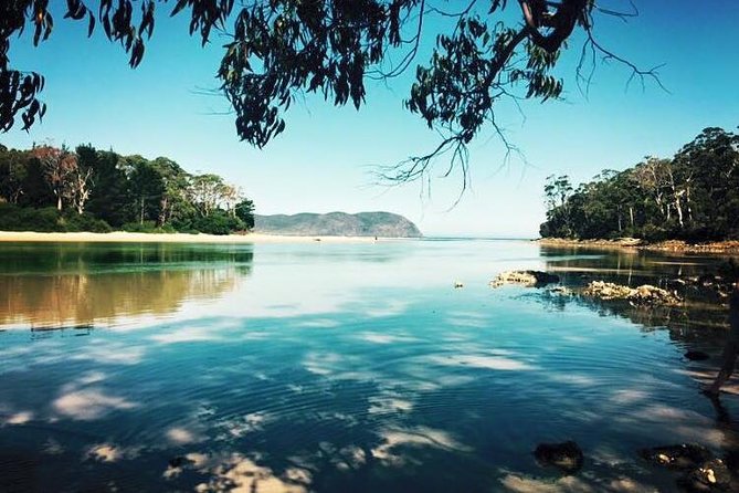 SHORE EXCURSION - Full-Day Guided Bruny Island Tour From Hobart - Transportation and Logistics