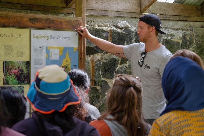 SHORE EXCURSION - Full-Day Guided Bruny Island Tour From Hobart - Accessibility and Age Restrictions