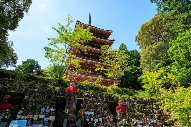 Shore Excursion Full Day Private Kochi Tour from Kochi port - The Highlights of Kochi Castle and the Surroundings