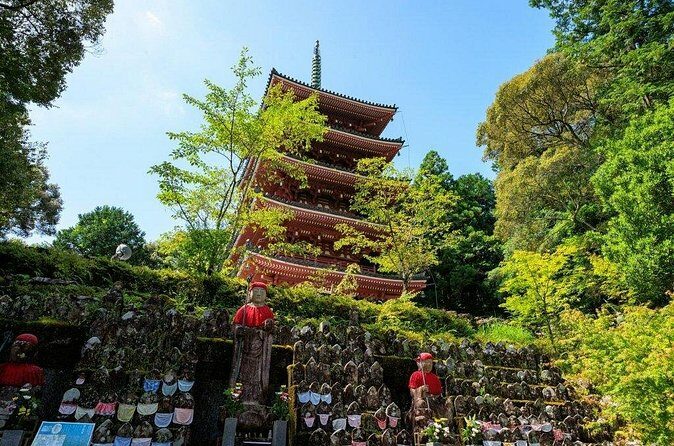 Shore Excursion Full Day Private Kochi Tour from Kochi port - Value, Duration, and Practical Tips