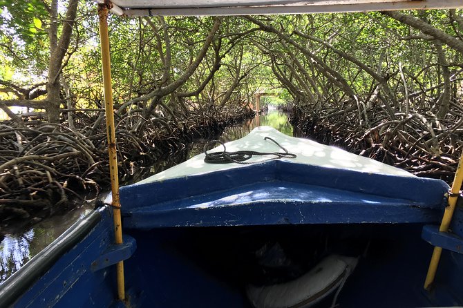 Shore Excursion: Garifuna History With Wildlife and Mangrove Tour - Navigating the Mangrove Canals