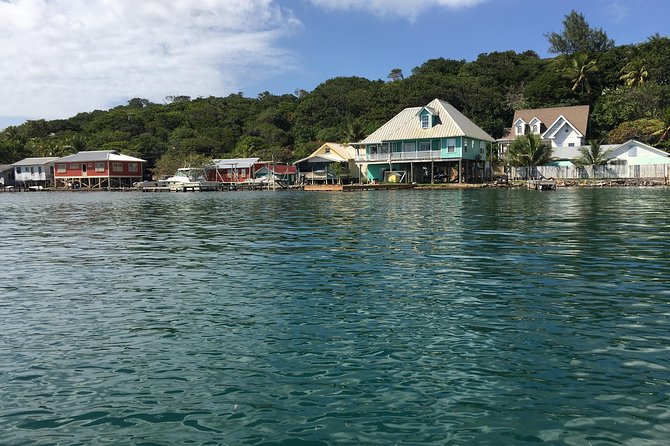 Shore Excursion: Garifuna History With Wildlife and Mangrove Tour - Preparing for the Shore Excursion