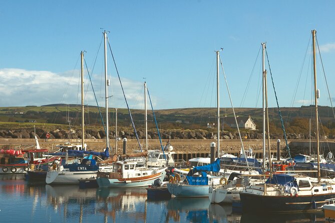 Shore Excursion: Giants Causeway Tour From Belfast Port - Infant Accommodations