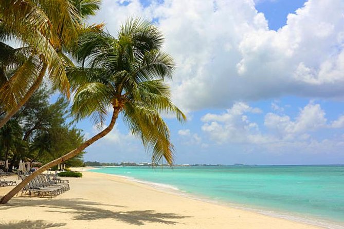Shore Excursion: Grand Cayman Beach & Off The Beaten Track Tour - Cancellation and Payment