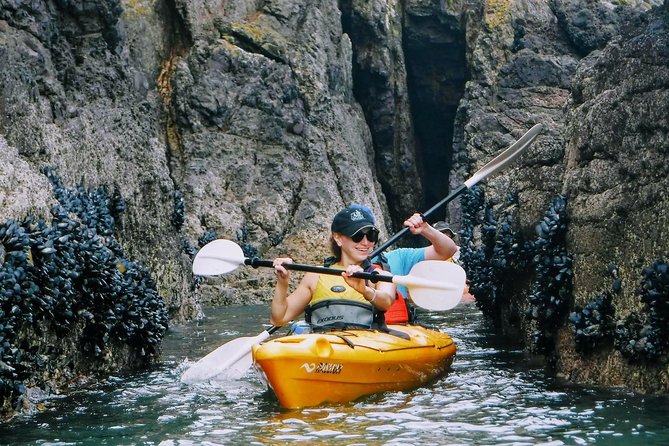 Shore Excursion Guided Sea Kayaking Through Akaroa Marine Reserve - Participant Requirements