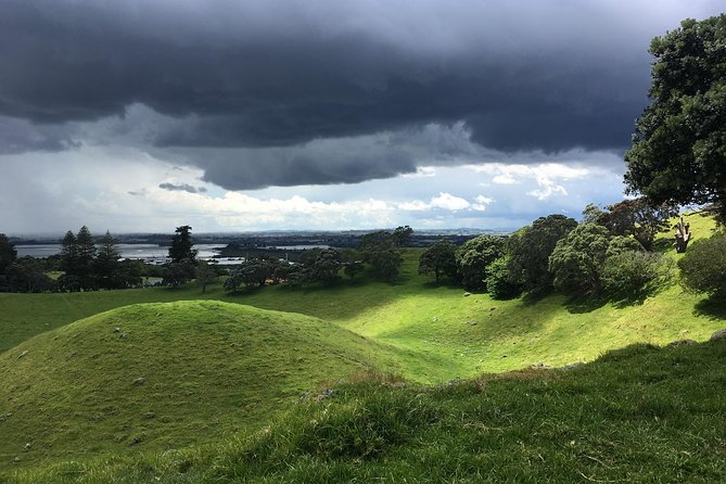 Shore Excursion: Half-Day Auckland Volcanoes Tour - Participant Requirements
