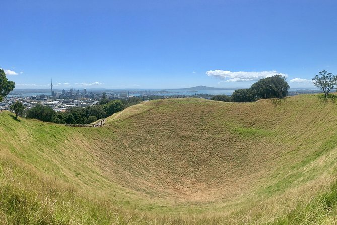 Shore Excursion: Half-Day Auckland Volcanoes Tour - Reviews and Feedback