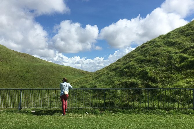 Shore Excursion: Half-Day Auckland Volcanoes Tour - Explore Iconic Volcanoes