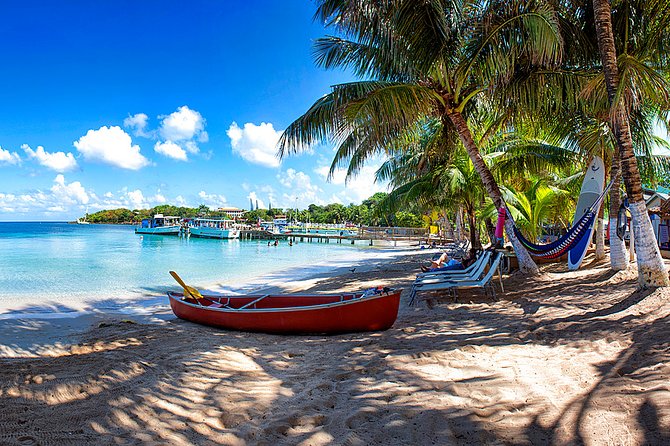 Shore Excursion: Half-Day Horseback Ride With Glass Bottom Boat - Key Points