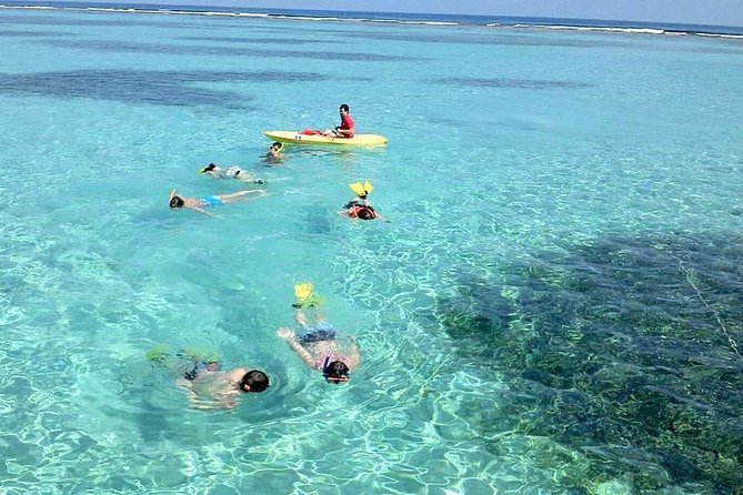 Shore Excursion: Half-Day Parasailing Adventure and Reef Snorkel - Key Points