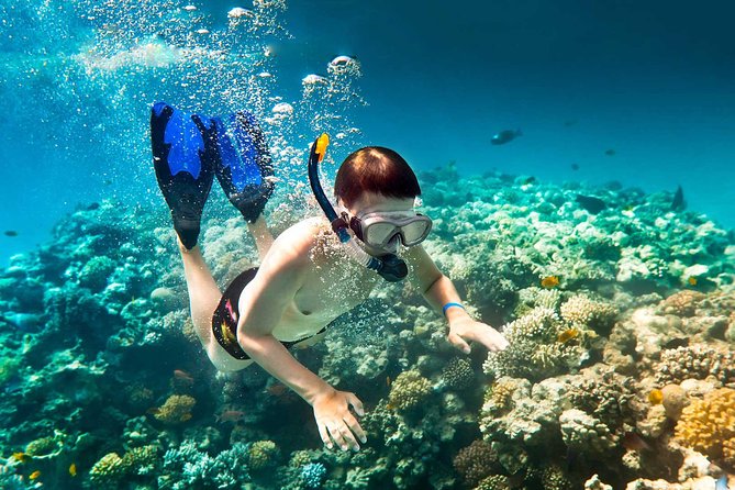 Shore Excursion: Half-Day Parasailing Adventure and Reef Snorkel - Meeting and Pickup Information