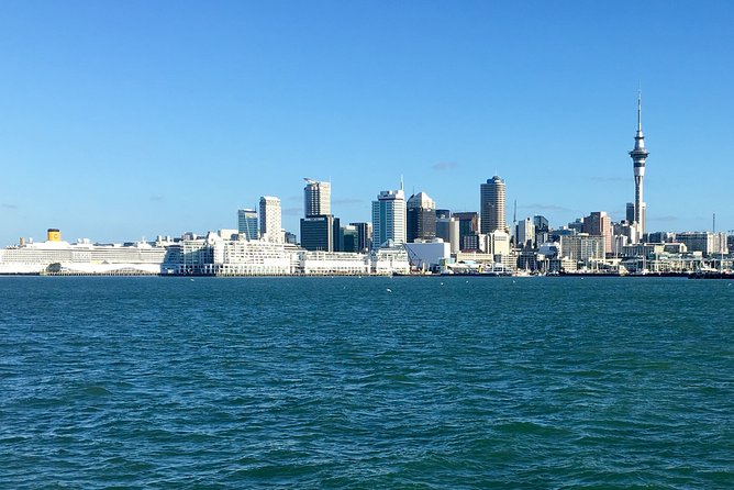 Shore Excursion: Half Day Small Group Auckland Scenic Tour - 4 HOURS - Duration and Group Size