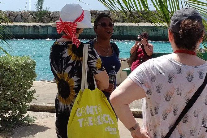 Shore Excursion - Historical Walking Tour - Bridgetown - Meeting and Pickup Details