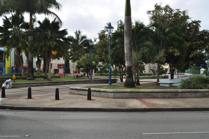 Shore Excursion - Historical Walking Tour - Bridgetown - Navigating the Walking Tour