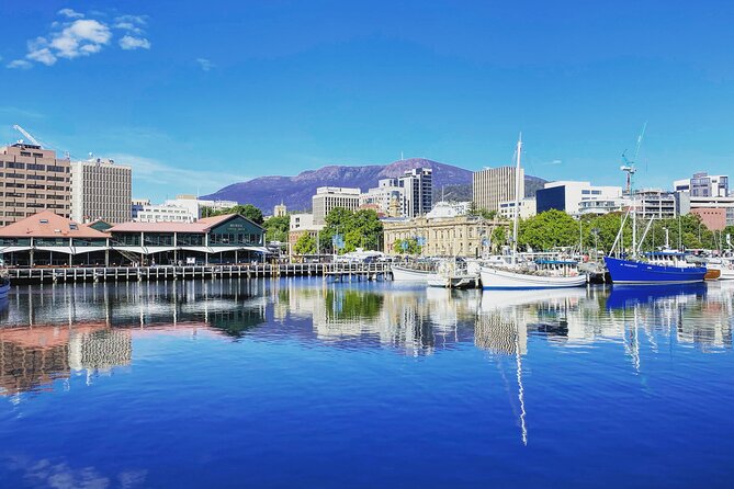 Shore Excursion: Hobart Highlights Day Tour - Guided Commentary and Experiences