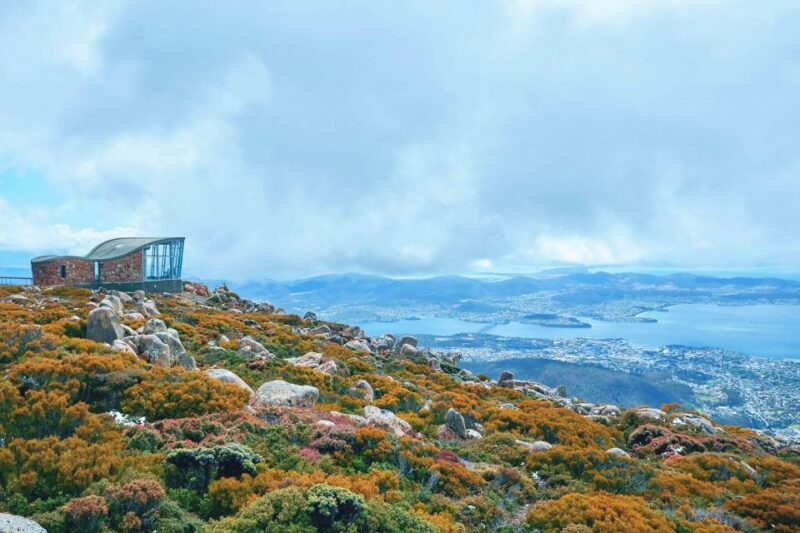 Shore Excursion: Hobart Wanderer - Discovering Hobarts Wine Region