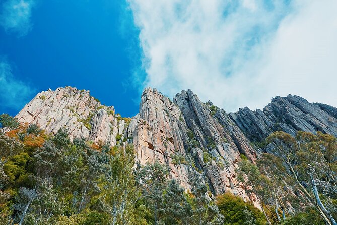Shore Excursion-Hobart Wanderer - Accessibility Information