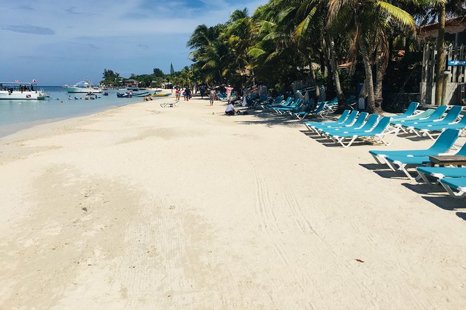 Shore Excursion: Horseback Riding With Wildlife and Reef Snorkel - Health and Accessibility Considerations