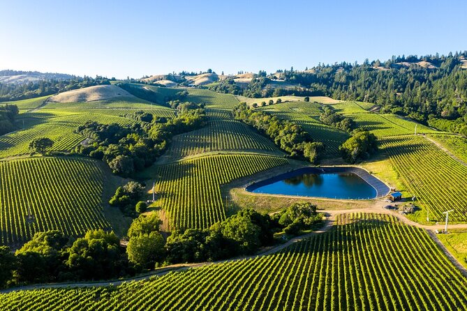 Shore Excursion in SFO - Enchanted Napa & Sonoma Wine Tour in SUV - Participant Requirements