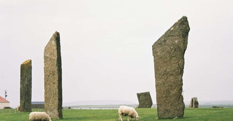 Shore Excursion Kirkwall: Small Group Highlights of Orkney - Neolithic Wonders