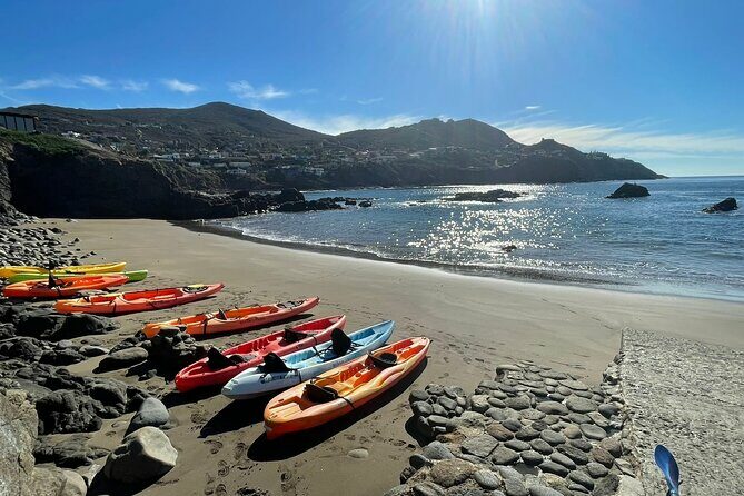 Shore Excursion: La Bufadora Blowhole, Kayak Adventure & Markets - Key Points