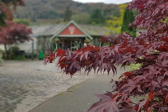 Shore Excursion: Lake District Adventure Sightseeing Day Trip From Liverpool - Trip Reviews and Ratings