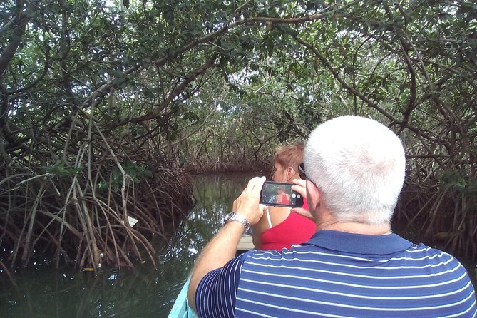 Shore Excursion Mangroves Tour - Key Points
