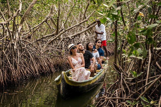 Shore Excursion Mangroves Tour - Tour Highlights
