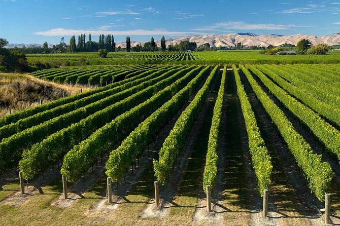 Shore Excursion Marlborough Wine Region Tour From Picton - Inclusions and Meeting Information