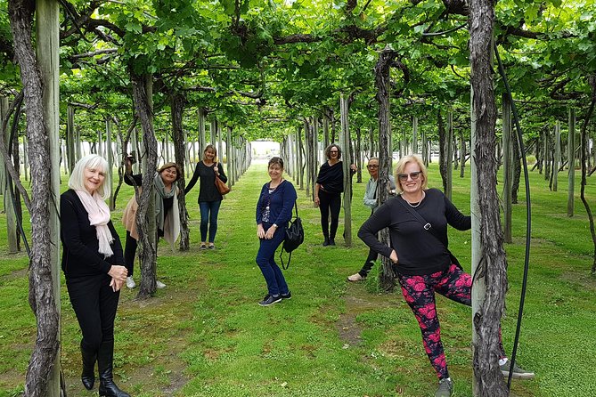 Shore Excursion Marlborough Wine Region Tour From Picton - Traveler Reviews and Feedback