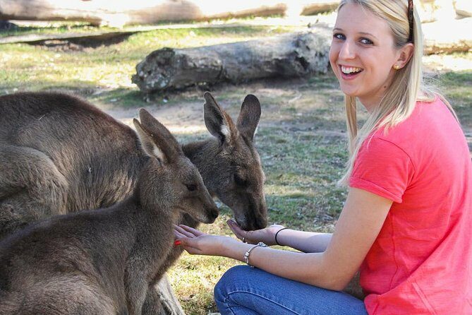 Shore Excursion Melbourne, Sights, Kangaroos, Koalas Lunch & Wine - What to Expect from the Tour