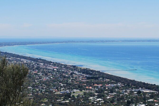 Shore Excursion Melbourne, Sights, Kangaroos, Koalas Lunch & Wine - Authentic Experiences That Shine