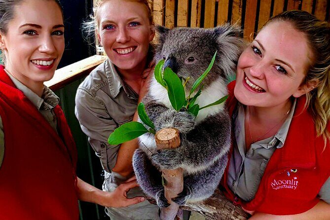 Shore Excursion Melbourne, Sights, Kangaroos, Koalas Lunch & Wine - FAQs