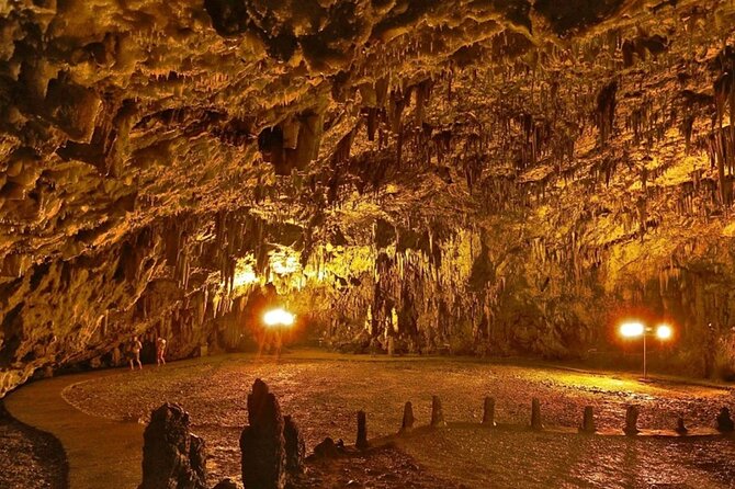Shore Excursion: Melissani,Drogarati & Myrtos - Inclusions and Exclusions