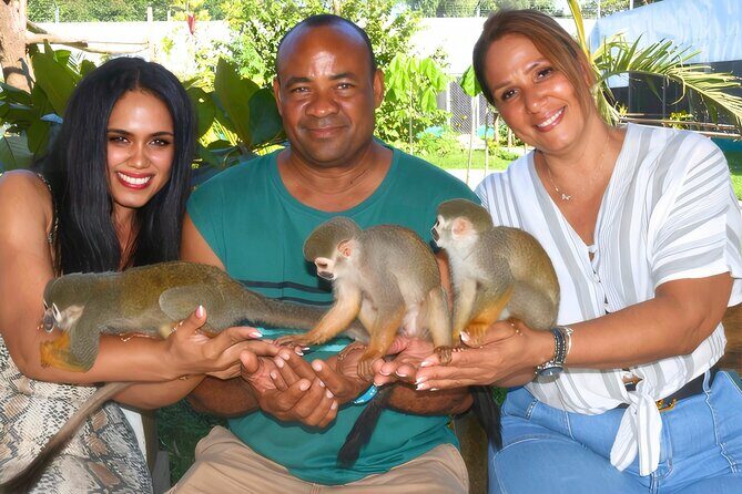 Shore Excursion Monkey Encounter and Puerto Plata City Tour - Key Points