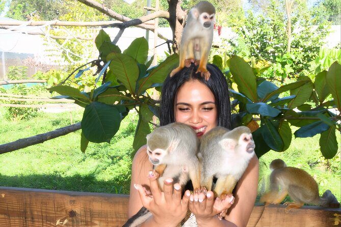 Shore Excursion Monkey Encounter and Puerto Plata City Tour - A Closer Look at the Experience