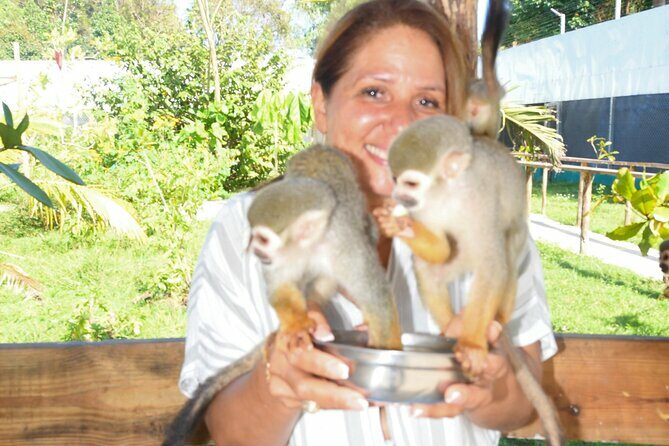 Shore Excursion Monkey Encounter and Puerto Plata City Tour - FAQ